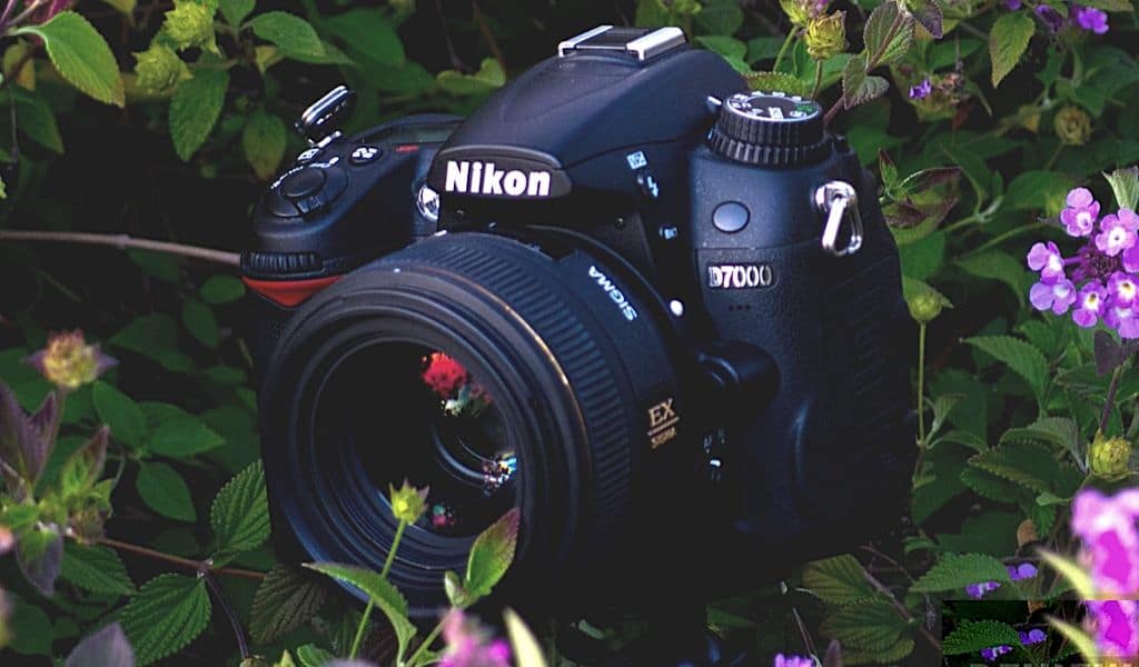 Review đánh giá Nikon D7000